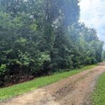 Property photo for land for sale in Pike County Mississippi