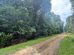 Property photo for land for sale in Pike County Mississippi