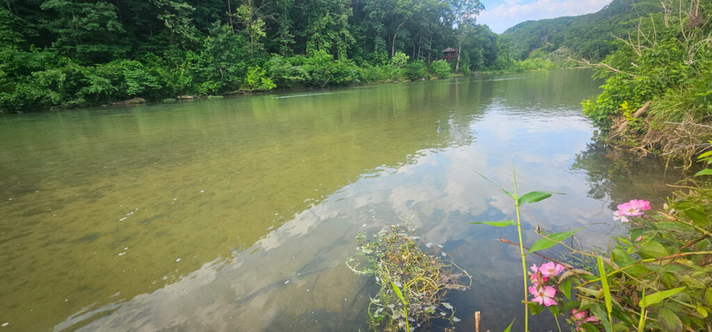 Property photo for land for sale in Ozark County Missouri