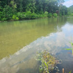 Property photo for land for sale in Ozark County Missouri