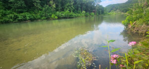 Property photo for land for sale in Ozark County Missouri