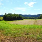 Property photo for land for sale in Cumberland County Kentucky
