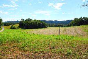Property photo for land for sale in Cumberland County Kentucky