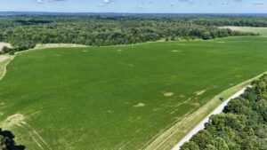 Property photo for land for sale in Christian County Kentucky