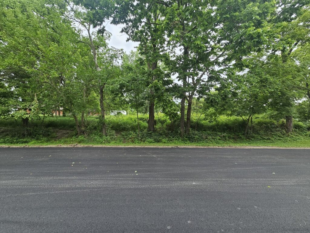 1f127dca-96ce-4d87-9c11-40967166f7ed.jpg