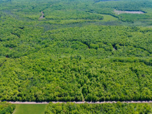 Property photo for land for sale in Iron County Wisconsin