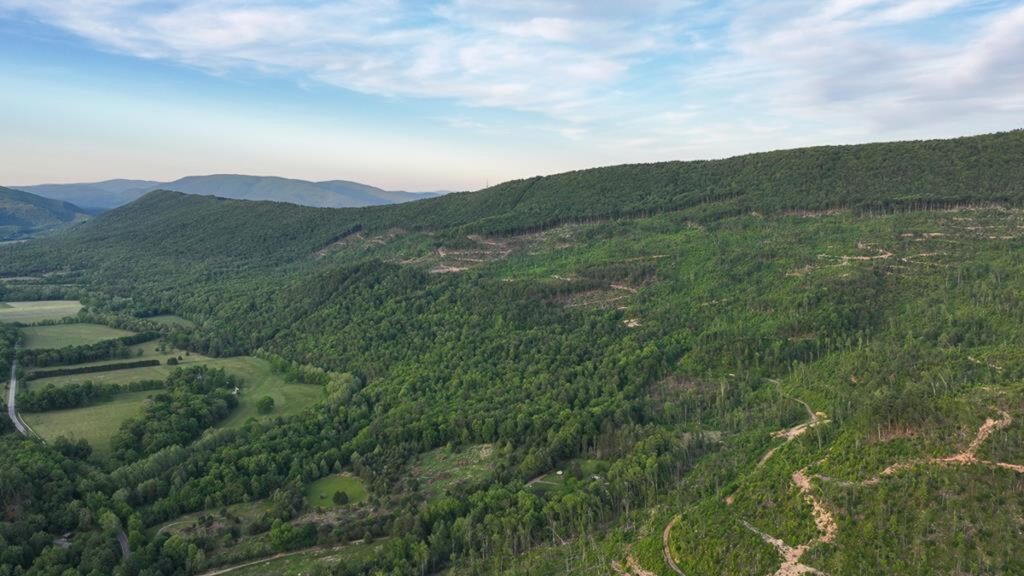 Property photo for land for sale in Alleghany County Virginia