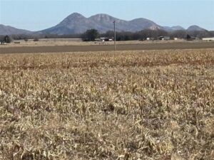 Property photo for land for sale in Jackson County Oklahoma