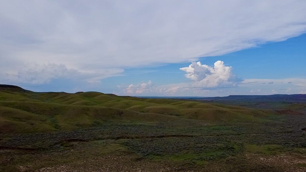 22523698-ae6d-427f-8440-0b5df7b885ed.jpg