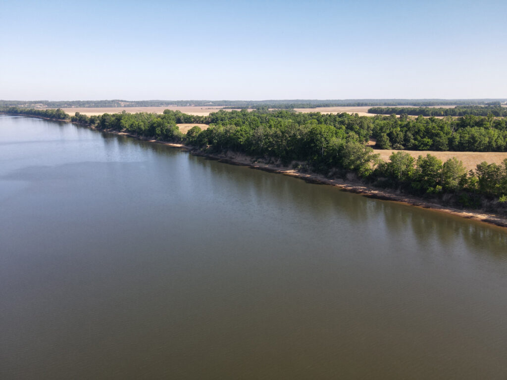 22f1ac1f-b5ef-4d53-a7f4-666f5f0708ed.jpg
