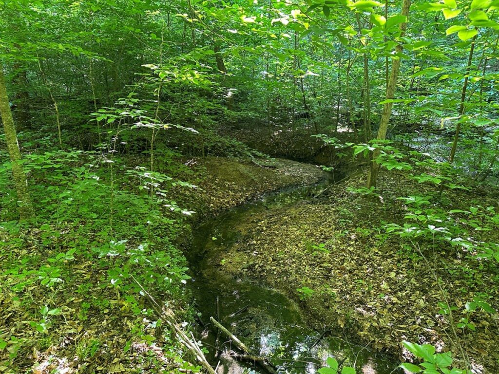 2363f35e-4924-489b-95aa-39d2dbb99c56.jpg