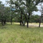 Property photo for land for sale in Brown County Texas