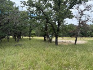 Property photo for land for sale in Brown County Texas