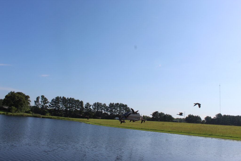 239cf710-337b-4d5e-9fb4-ebaed491fb94.jpg