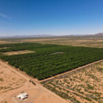Property photo for land for sale in  County Arizona