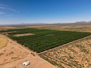 Property photo for land for sale in  County Arizona