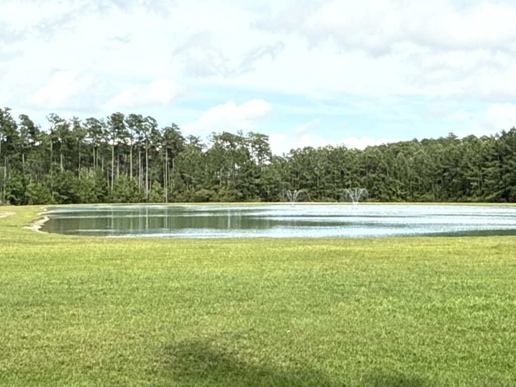 24815255-9807-4c2e-bc42-c9d6b5de336e.jpg