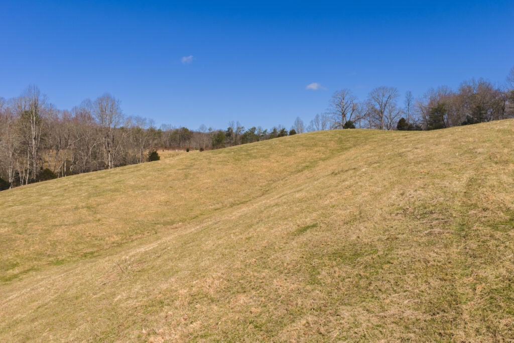 25256fa2-8d55-4d82-84ab-644a27261f85.jpg