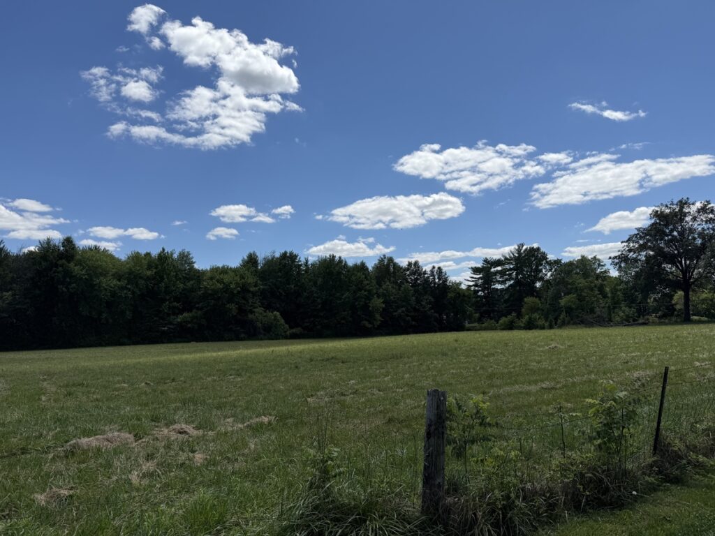252aa261-39cf-4b4c-8a97-7054cedf5bda.jpg