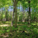 Property photo for land for sale in Ashland County Wisconsin