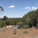 Property photo for land for sale in Navajo County Arizona
