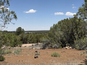 Property photo for land for sale in Navajo County Arizona