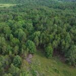 Property photo for land for sale in Fulton County Arkansas