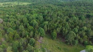 Property photo for land for sale in Fulton County Arkansas