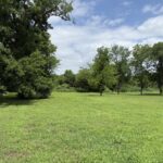 Property photo for land for sale in Wood County Texas