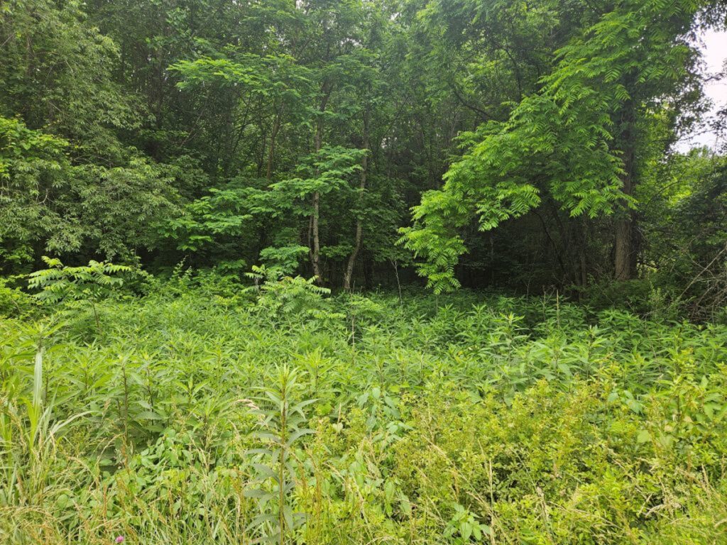 2d1d6e8b-86d7-4bcd-80e9-897a77041561.jpg