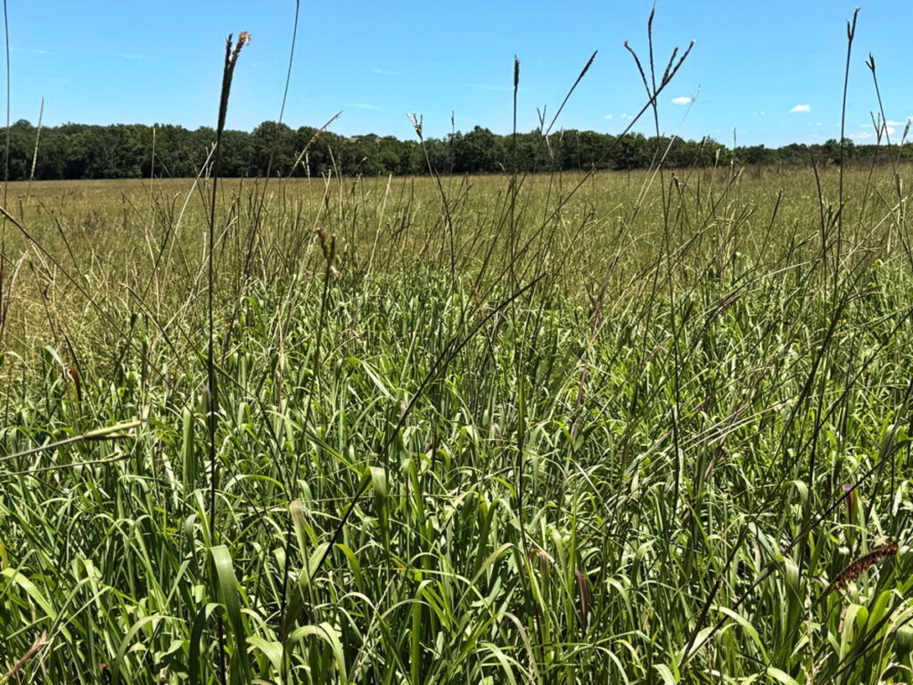 31864291-1955-4b6d-95ba-e1d0d143ce28.jpg