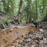 Property photo for land for sale in Cass County Texas