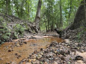 Property photo for land for sale in Cass County Texas