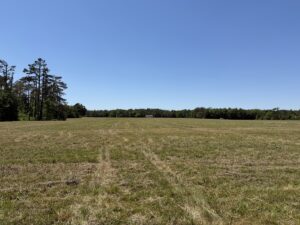 Property photo for land for sale in Hardin County Tennessee