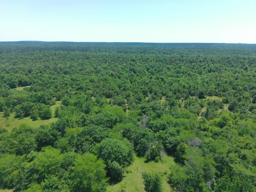 Property photo for land for sale in Pushmataha County Oklahoma