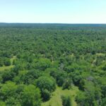 Property photo for land for sale in Pushmataha County Oklahoma