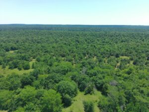 Property photo for land for sale in Pushmataha County Oklahoma