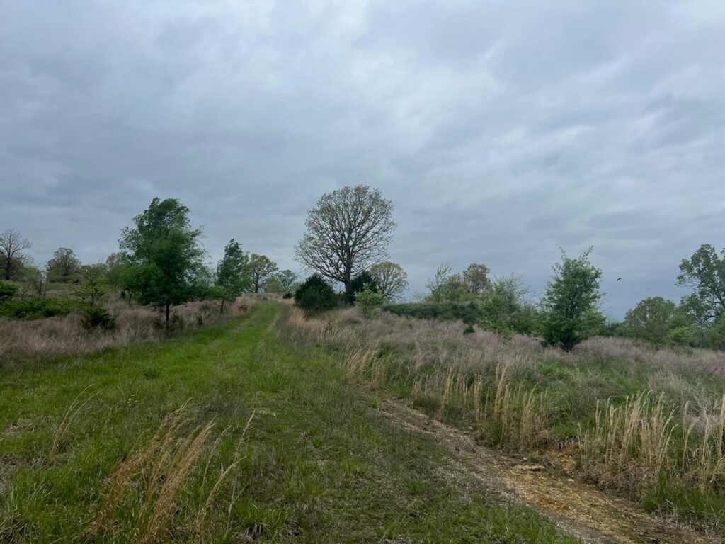 Property photo for land for sale in Ozark County Missouri