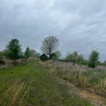Property photo for land for sale in Ozark County Missouri
