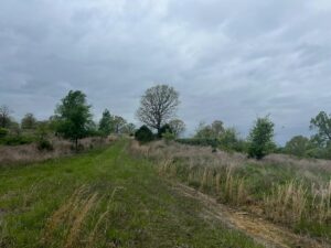Property photo for land for sale in Ozark County Missouri
