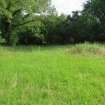Property photo for land for sale in Bowie County Texas