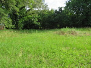 Property photo for land for sale in Bowie County Texas