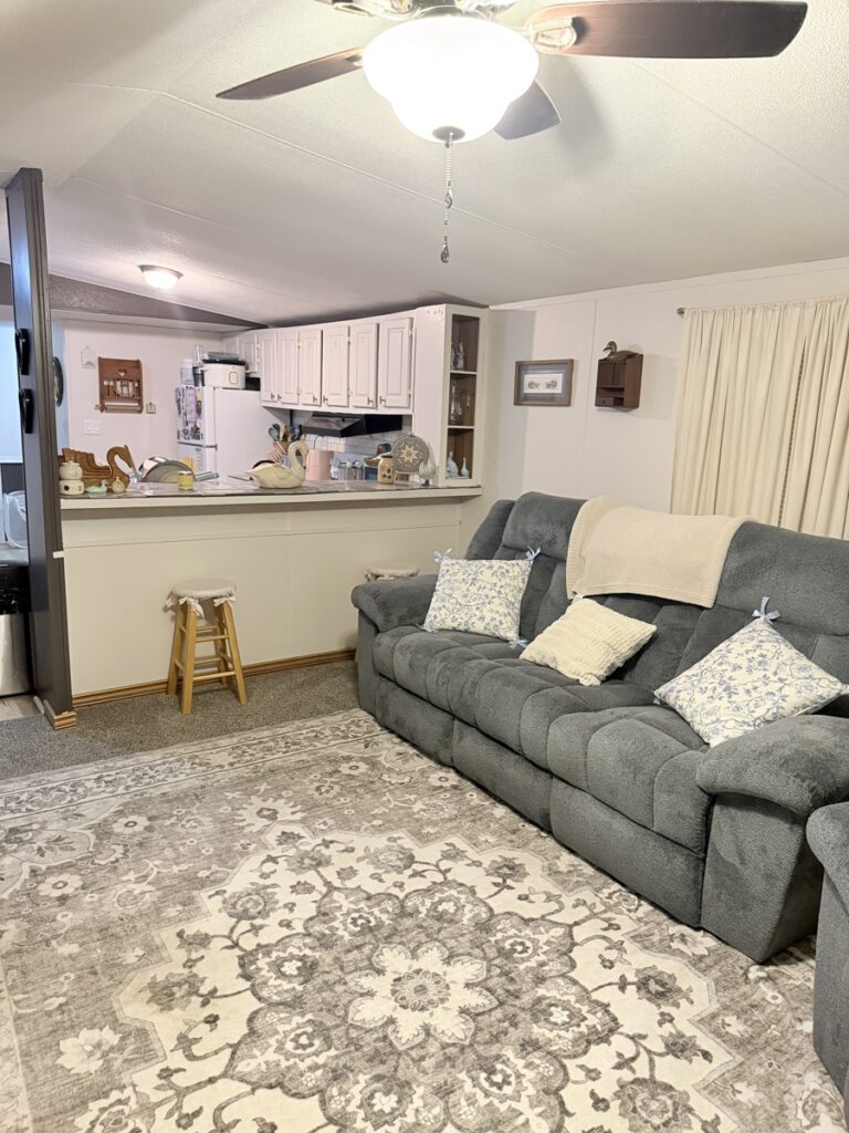 3623ec61-f757-45ad-8abc-95ce9473cc30.jpg