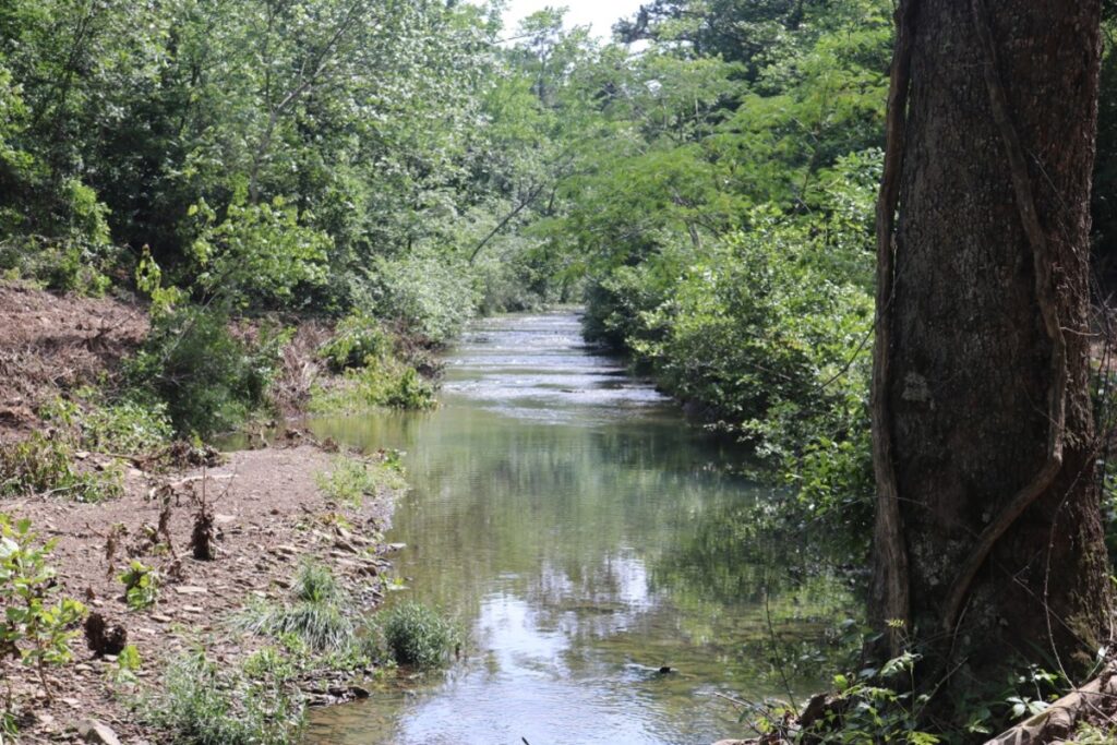 Property photo for land for sale in Van Buren County Arkansas