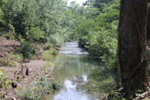 Property photo for land for sale in Van Buren County Arkansas