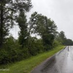 Property photo for land for sale in Pike County Mississippi