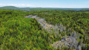 Property photo for land for sale in Aroostook County Maine