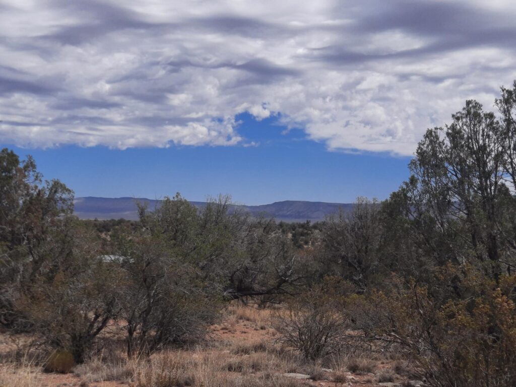 39c54837-6593-44d0-8271-4274c8907a88.jpg