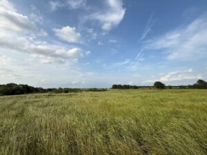 Property photo for land for sale in Choctaw County Oklahoma