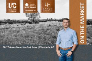Property photo for land for sale in Fulton County Arkansas